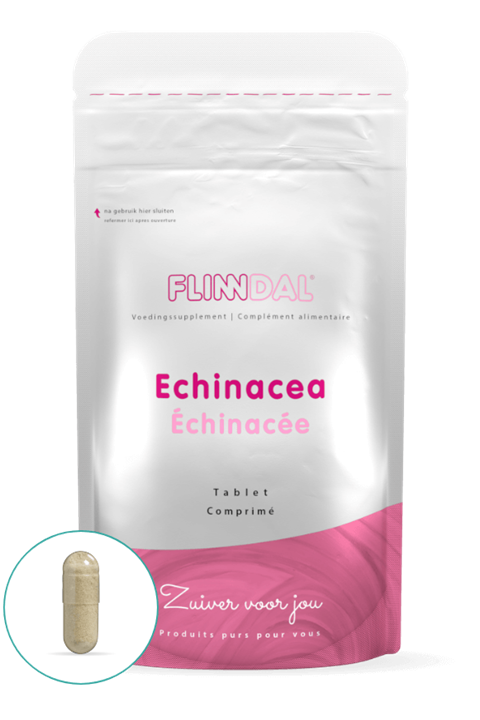 Echinacea