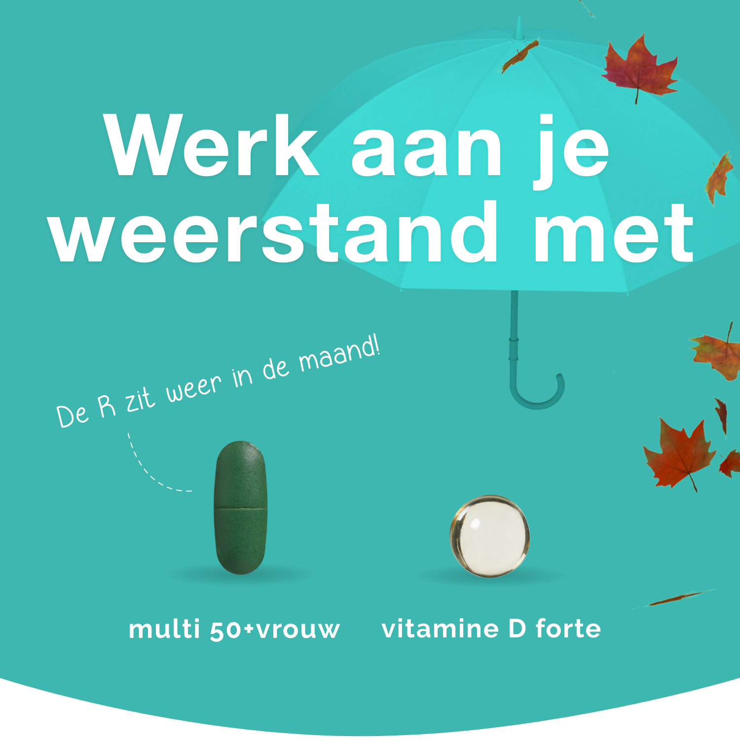 Werk aan je weerstand met Flinndal