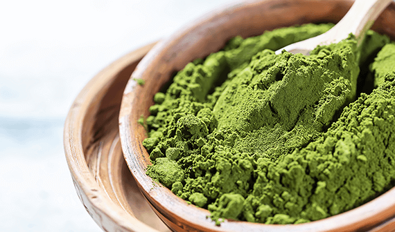 Chlorella