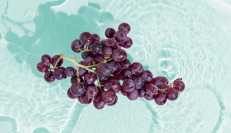 5 vragen over resveratrol