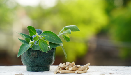 Ashwagandha veilig om te gebruiken?