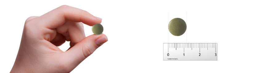 Chlorella