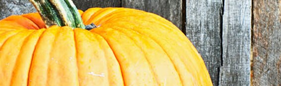 5 légumes d'automne bons pour la santé