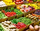 Végétariens et nutriments
