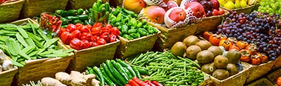 Végétariens et nutriments