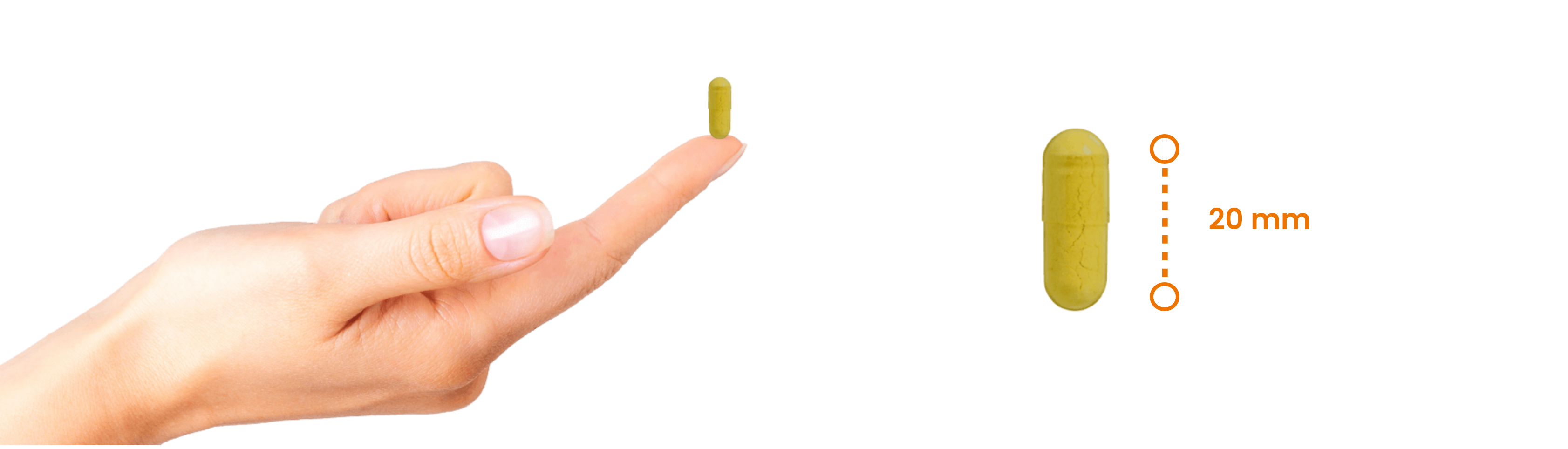 Berberine