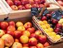 7 aliments pour garder la ligne