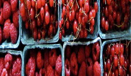 Gezonde alternatieven. 7 Tips