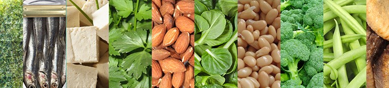 10 alternatives au calcium