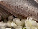 Top 5 poissons bons pour la santé