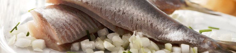 Top 5 poissons bons pour la santé