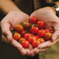 Eet jij genoeg groenten en fruit?