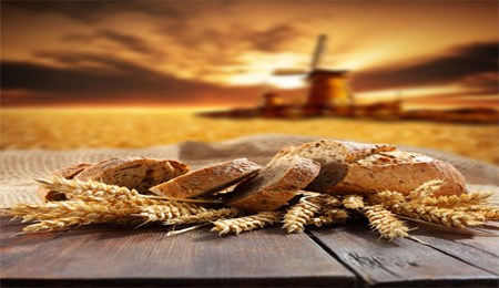 Volkoren of meergranen, wat is het beste brood?
