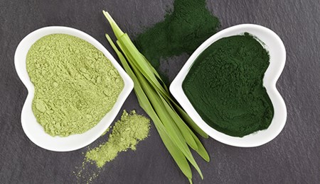 Wat is het verschil tussen chlorella en spirulina?