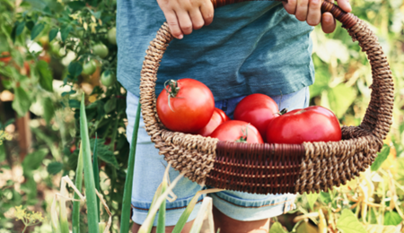 Zo gezond zijn groenten en fruit in de zomer