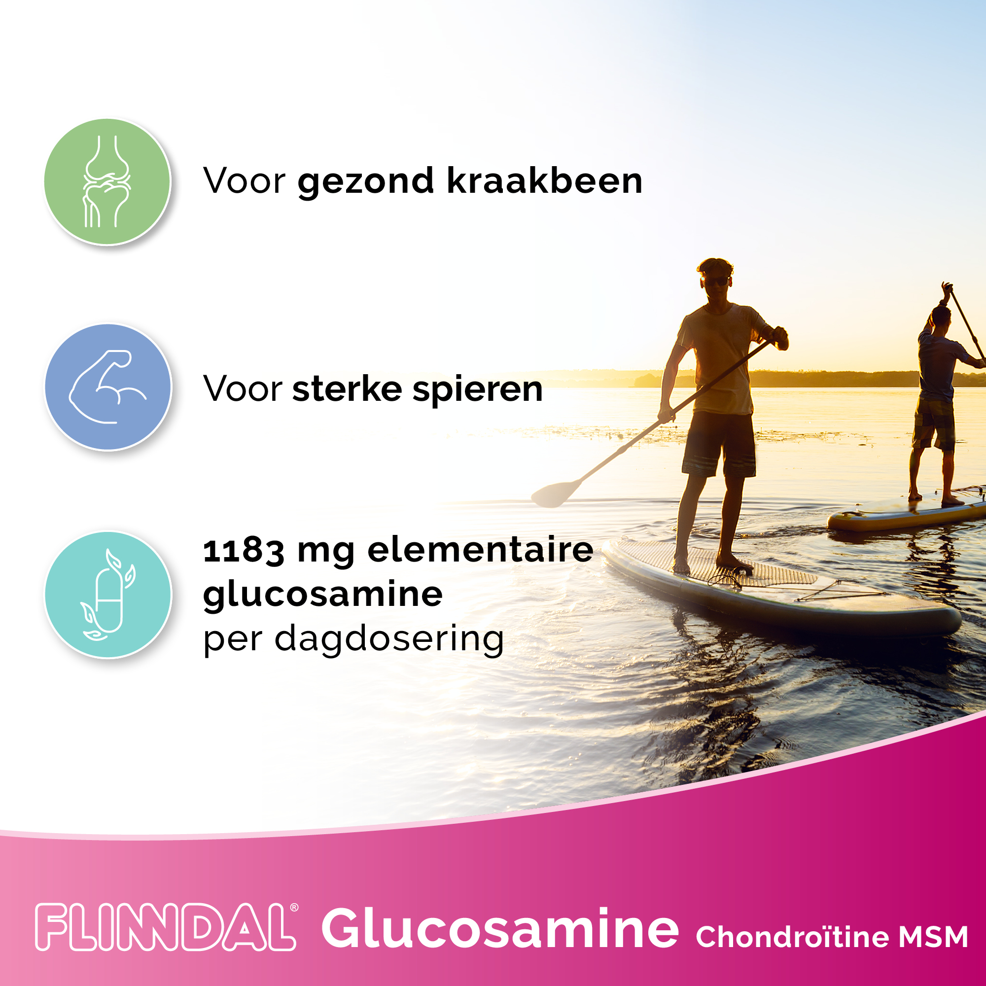 Glucosamine Chondroitine Msm USPs