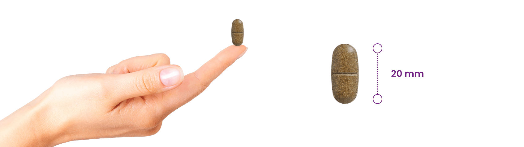 Huid, Haar & Nagels