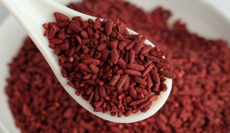 Cholesterol: hou het in toom