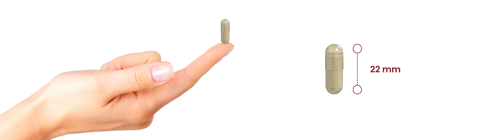 Libidoqr