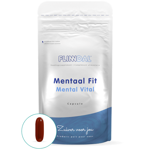 Mentaal Fit
