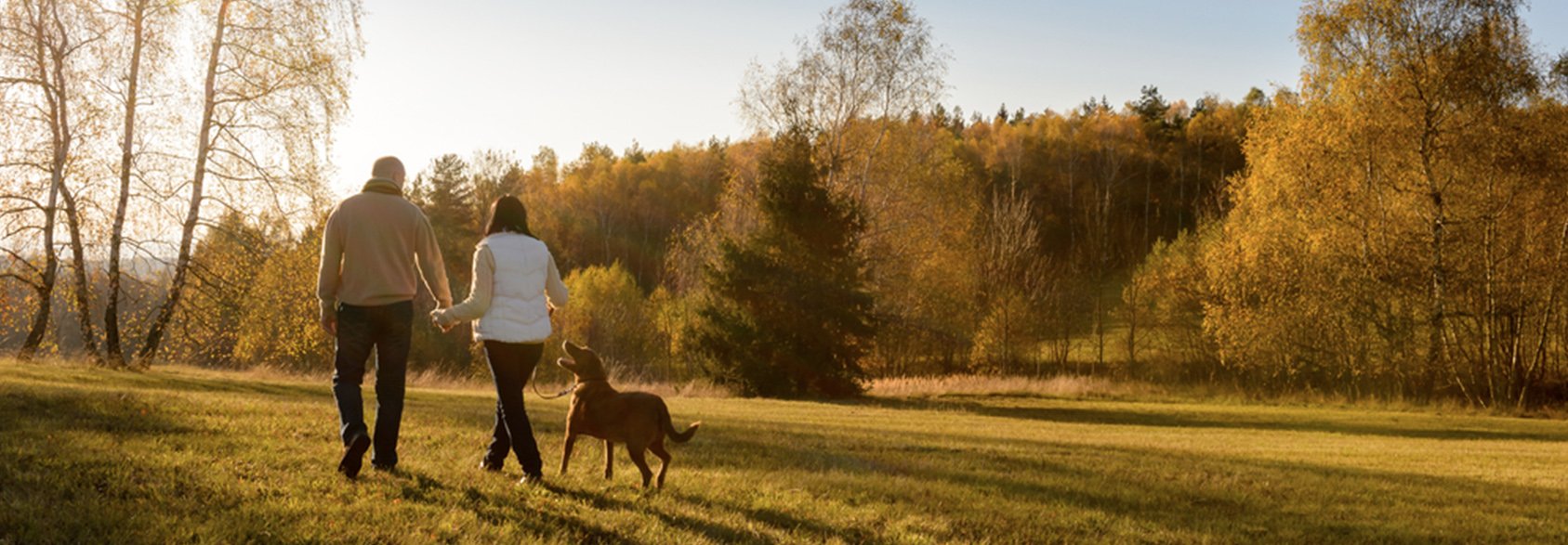 vitamine b12 ouderen