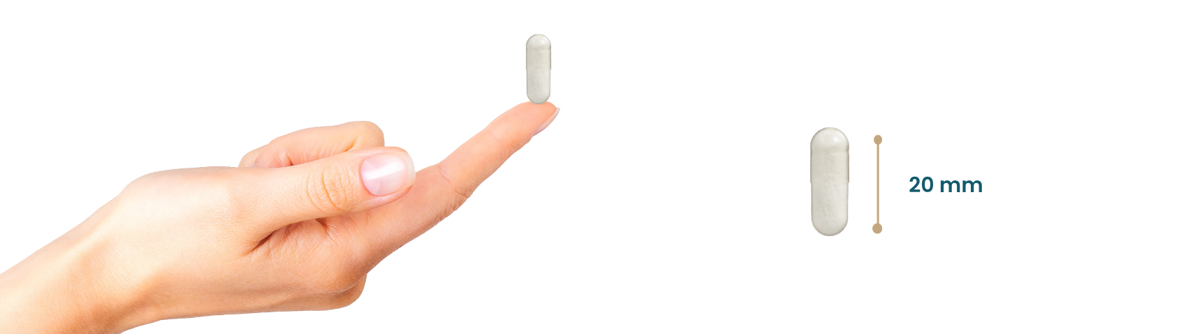 Probiotica Ultiem