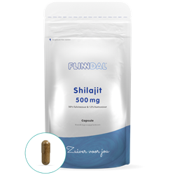 Shilajit 500 mg