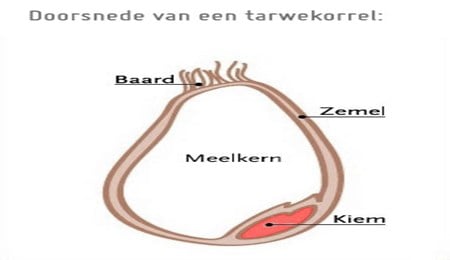 Volkoren of meergranen, wat is het beste brood?