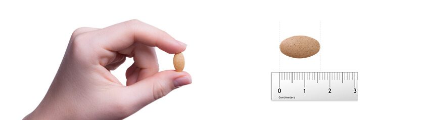 Vitamine C Forte