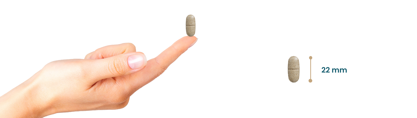 Vitamine C Forte