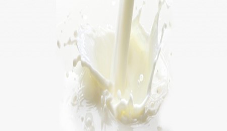 Waarom heb je calcium nodig?