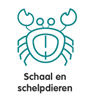 Vis, schaal- en weekdieren
